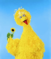 bigbird10.jpg